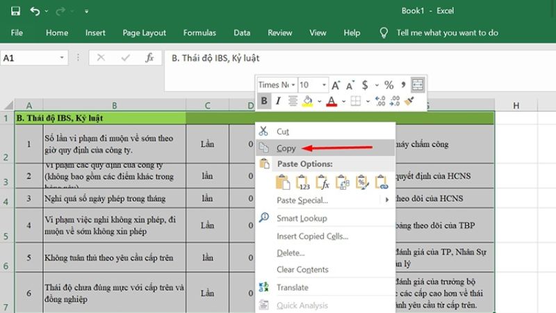 cách chuyển từ excel sang word paste options